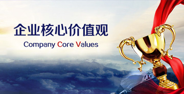 迪科瑞的核心價值觀